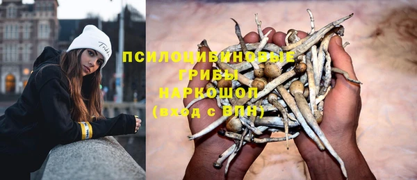 молекула духа Алексеевка