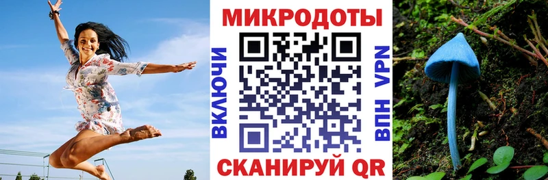 Псилоцибиновые грибы Cubensis  Обоянь 